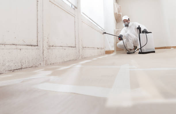 24/7 Emergency Attic Mold Removal experts in Jamestown, NC