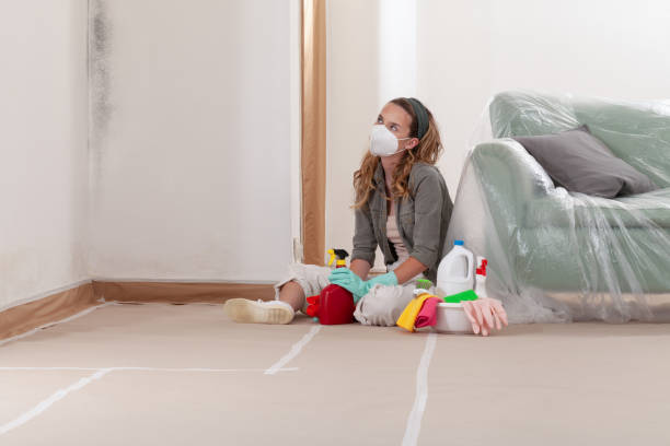 Reliable Attic Mold Removal contractor in Jamestown, NC by WQB Mold Removal