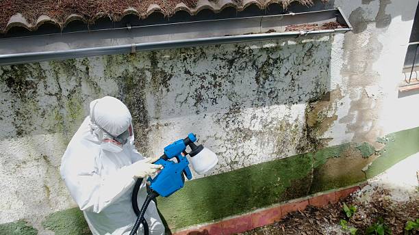 Top rated local Attic Mold Removal specialists in Jamestown, NC